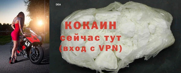 ПСИЛОЦИБИНОВЫЕ ГРИБЫ Заводоуковск