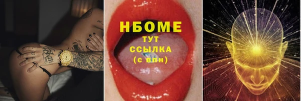 PSILOCYBIN Дмитриев