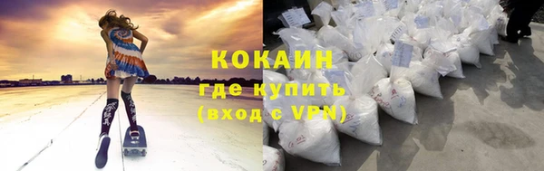 МДПВ Тайга