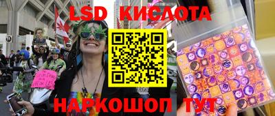 ПСИЛОЦИБИНОВЫЕ ГРИБЫ Дмитров