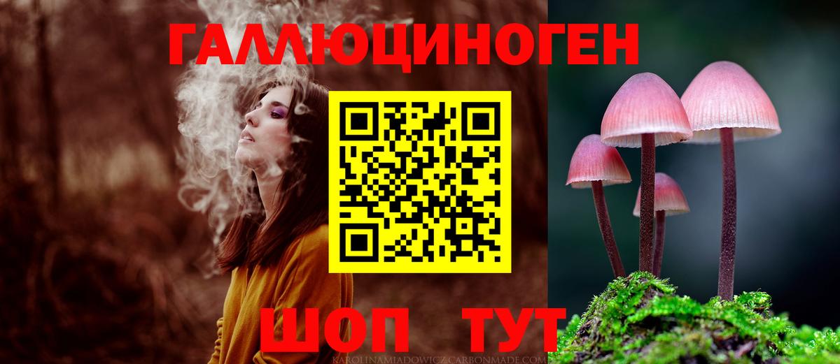 Псилоцибиновые грибы прущие грибы Истра